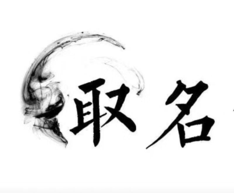  细河宝宝取名 大师一对一人工起名